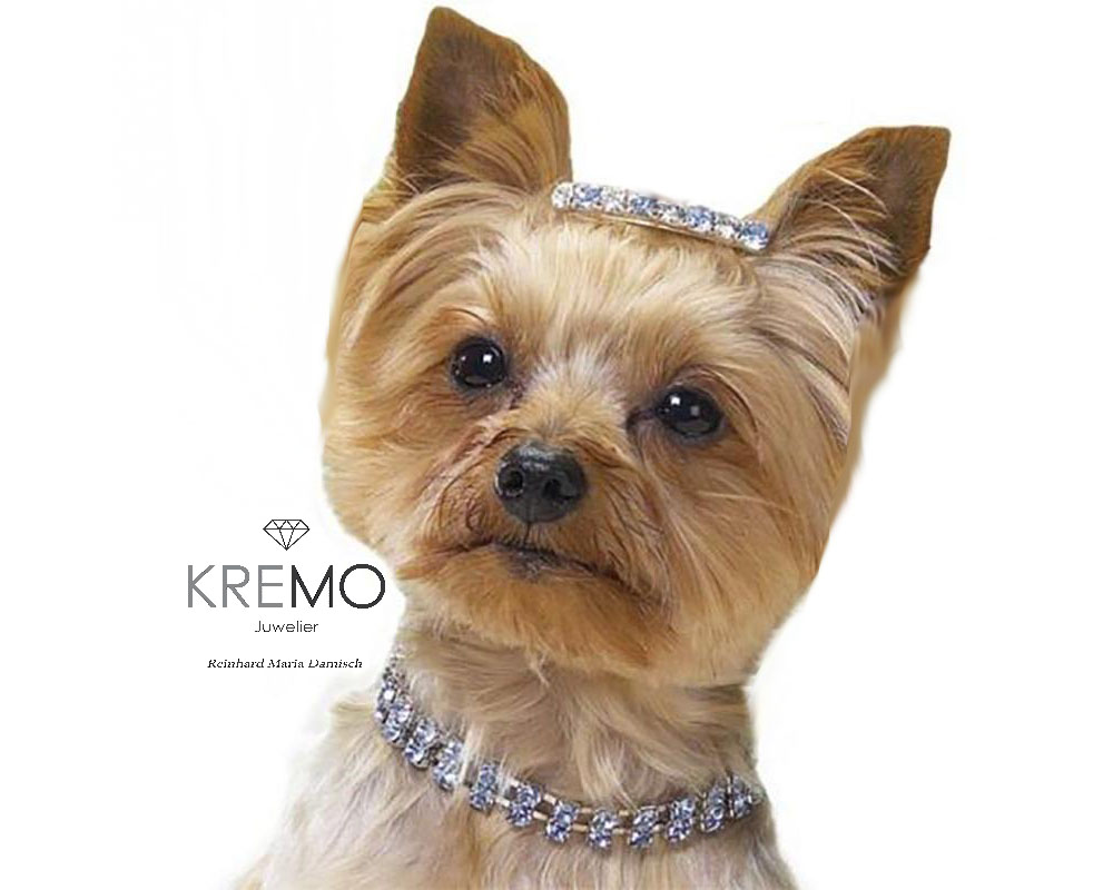 Du betrachtest gerade Tierschmuck für Hunde und Katzen Anfertigungen